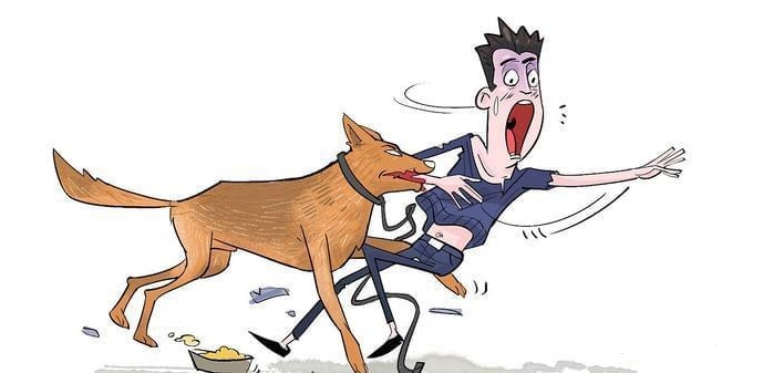 狗咬傷人狗主人要承擔什么責任？