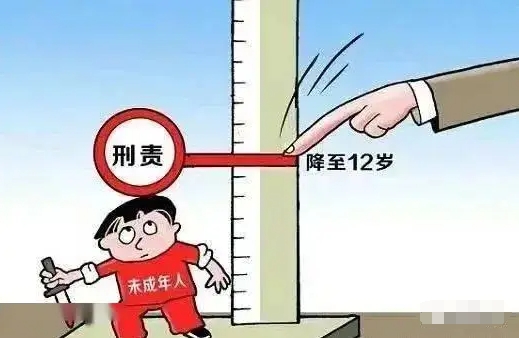 最高法：4名滿12周歲不滿14周歲未成年人被判刑